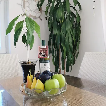 Casa Matea - 90 M From The Sea, New Private Swimming Pool 公寓 *